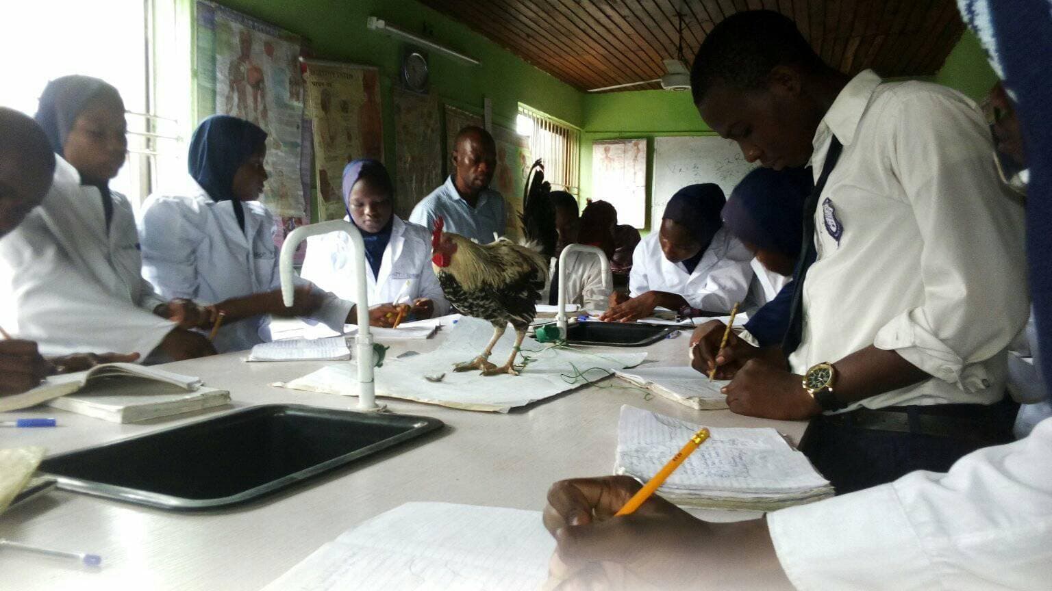 Sulaiman Shado College students